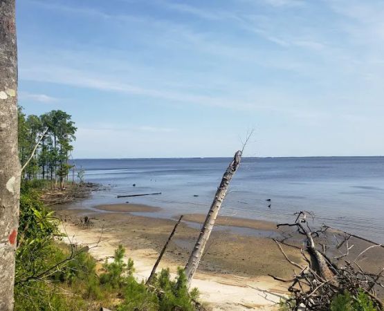 Flanners Beach Campground