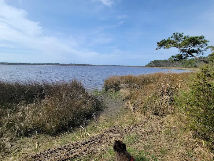 Oyster Point Campground 6