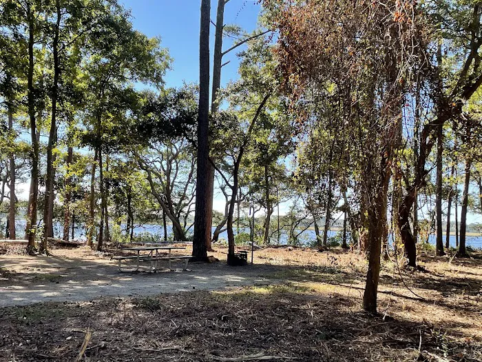 Oyster Point Campground 4