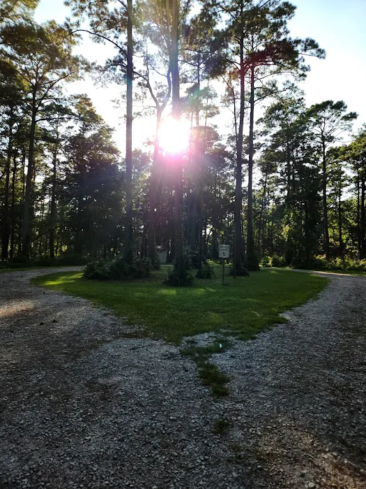 Oyster Point Campground 8