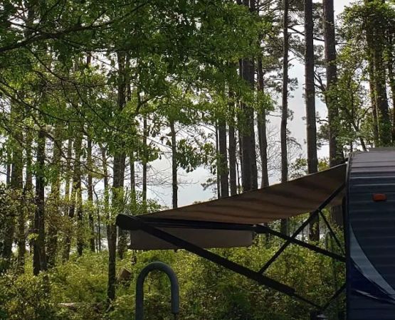 Oyster Point Campground