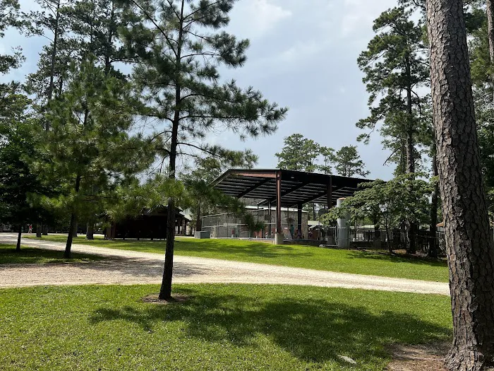Pineywoods Camp 0