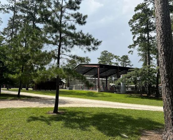 Pineywoods Camp