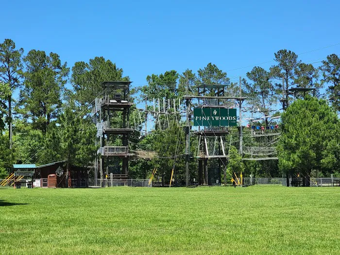 Pineywoods Camp 5