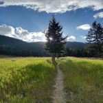 Palisades Campground