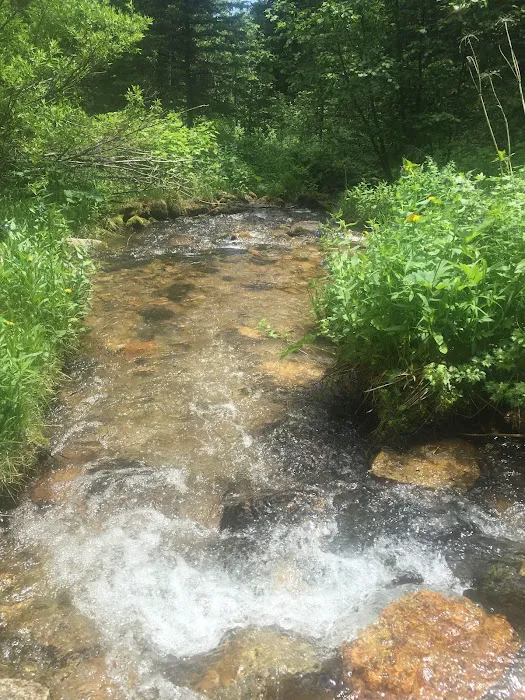 Palisades Campground 3