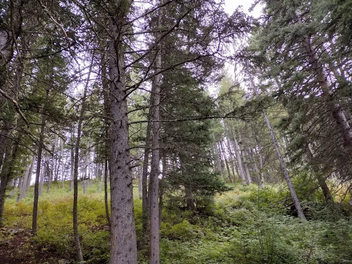 Palisades Campground 9