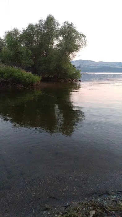 Jo Bonner Campground 8