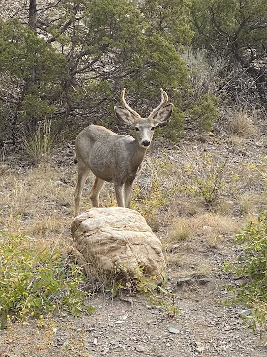 Chinaman Gulch 8