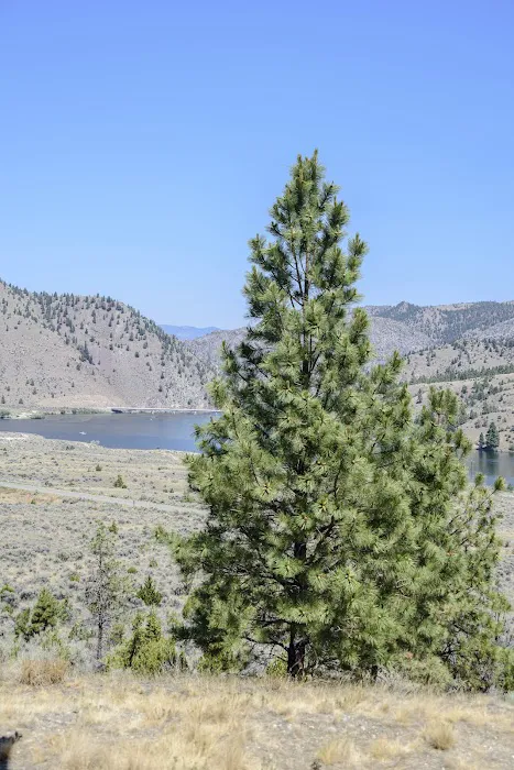 Devils Elbow Campground - U.S. Bureau of Land Management 1