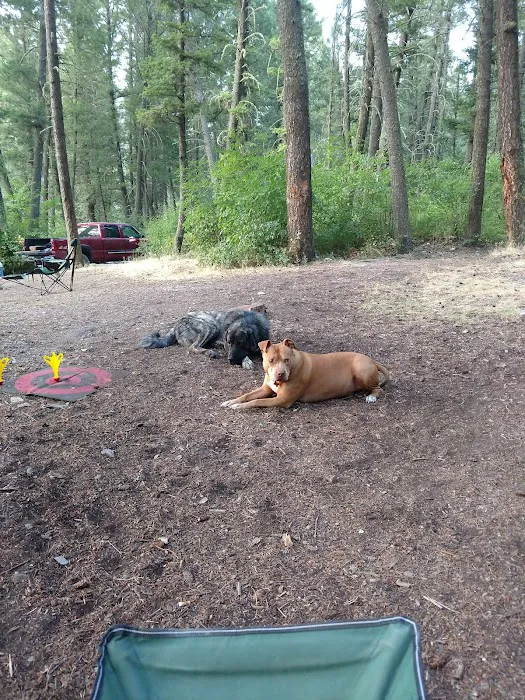 Vigilante Campground 9