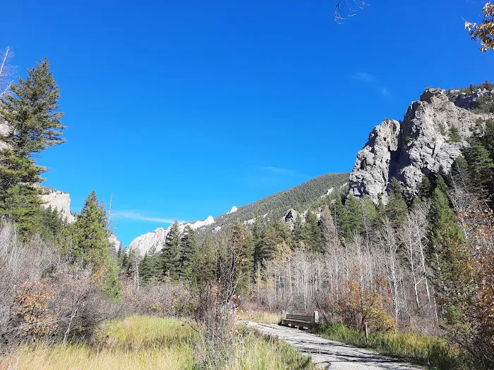 Vigilante Campground 4