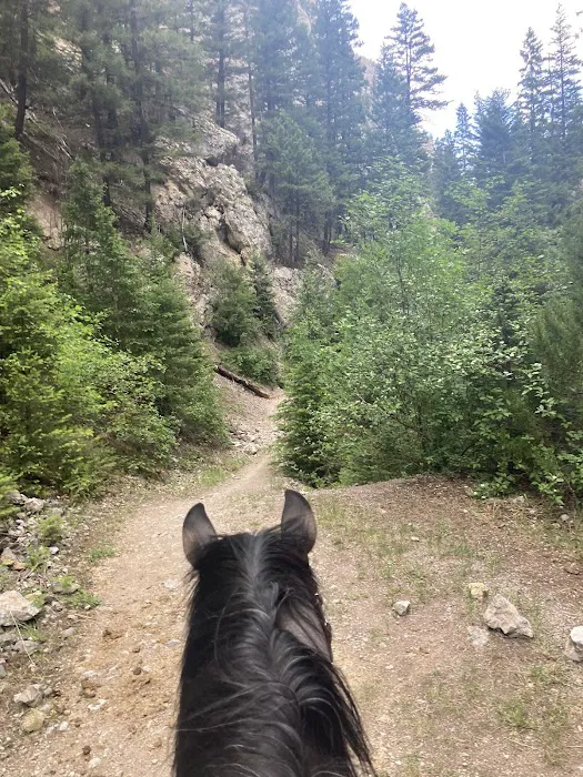 Vigilante Campground 6