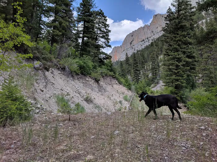 Vigilante Campground 7