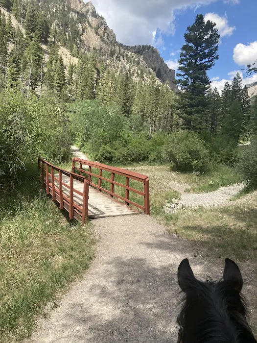 Vigilante Campground 3