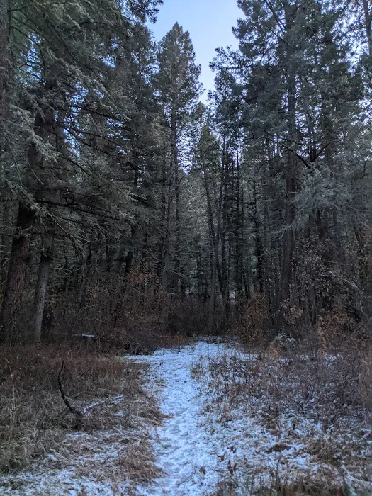 Vigilante Campground 5