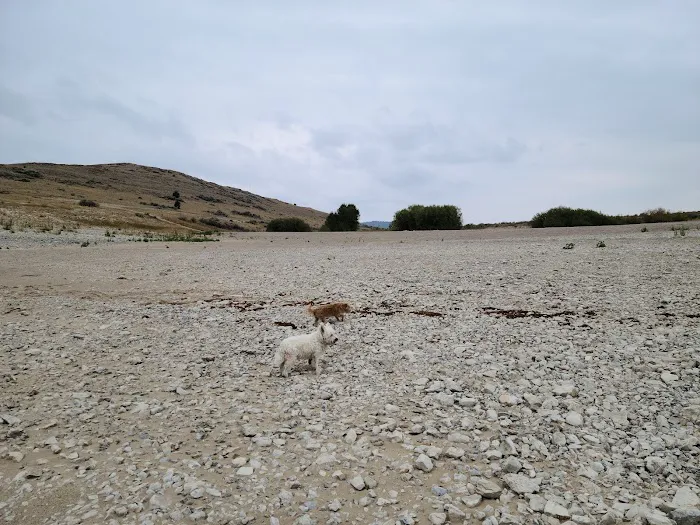 Horse Prairie Campground 3