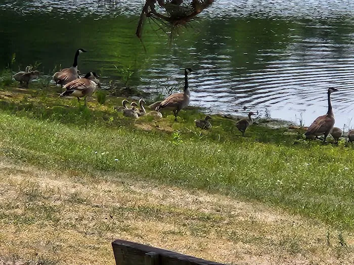 Moon Lake Park 1