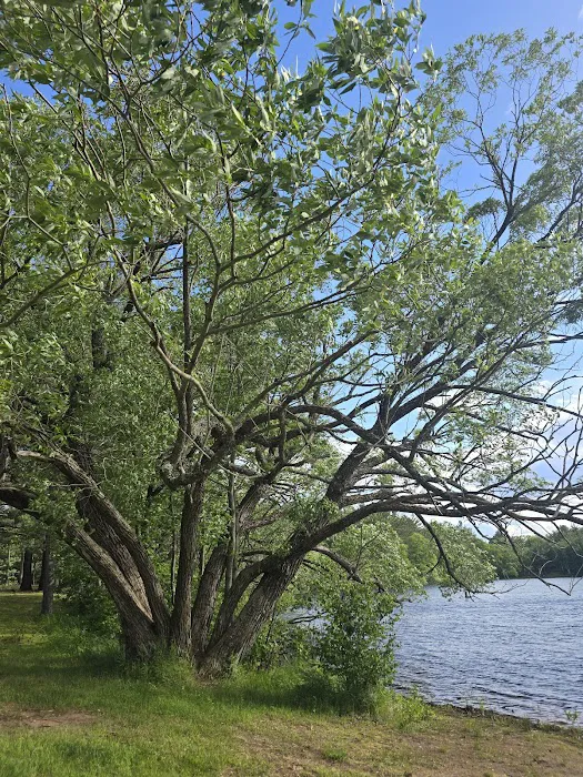 Moon Lake Park 3