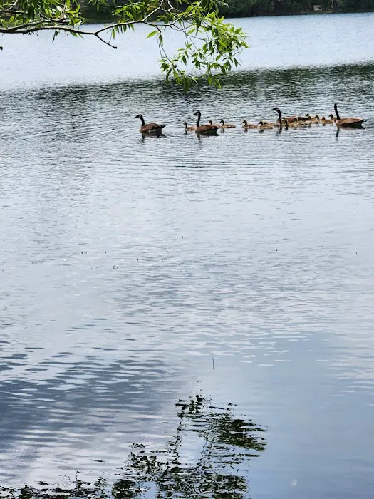 Moon Lake Park 0