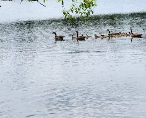 Moon Lake Park