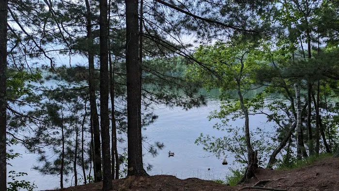 Twin Bear Campground 0