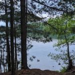 Twin Bear Campground