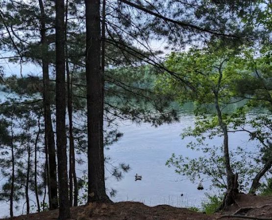 Twin Bear Campground