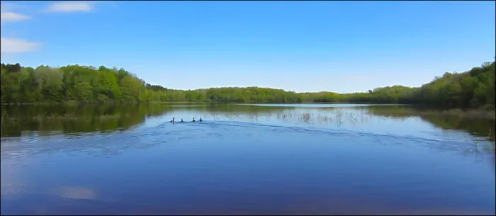 Drummond Lake Campground 1