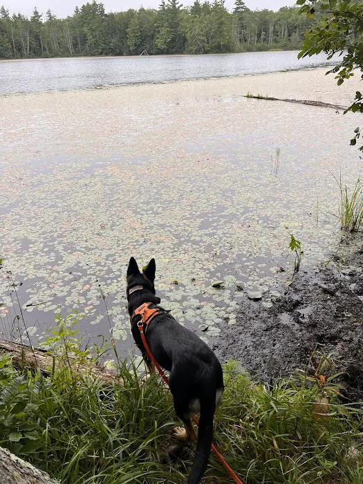 Perch Lake Campground 5