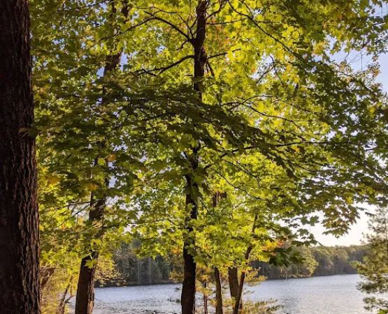 Two Lakes Campground