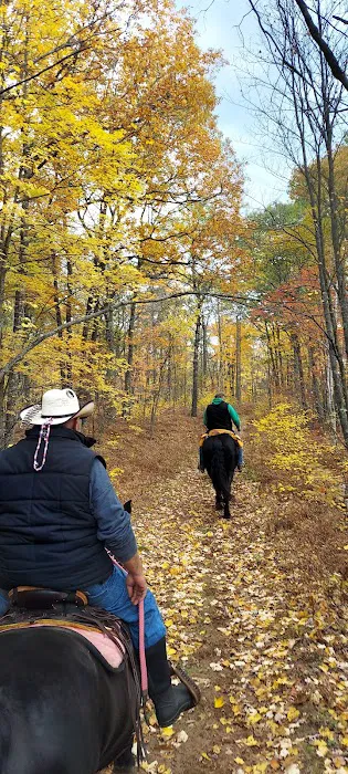 Horseshoe Lake Horse Campground 5