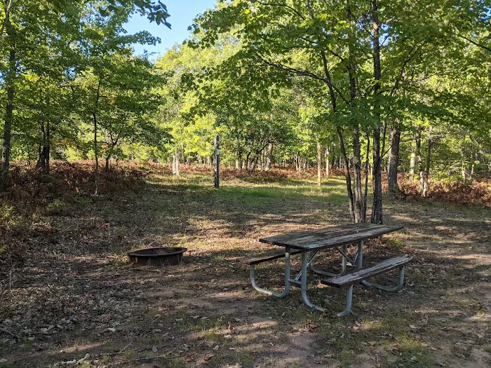 Horseshoe Lake Horse Campground 6