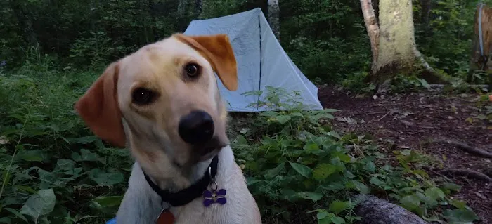 East Gooseberry Campsite 0