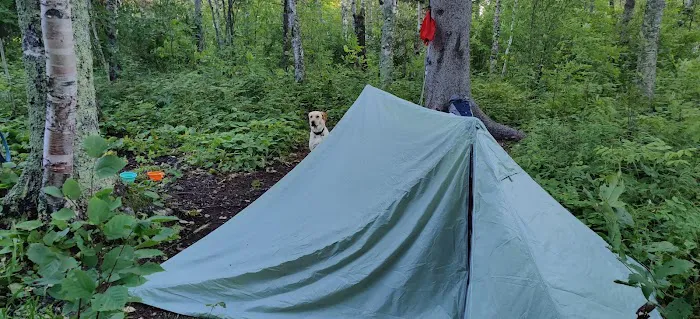East Gooseberry Campsite 2