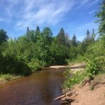 Middle Gooseberry Camp