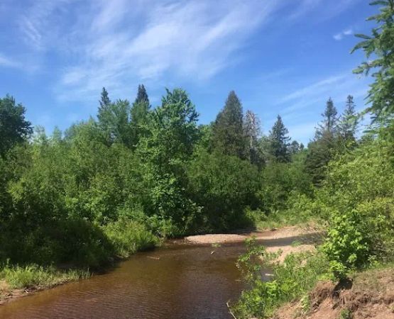 Middle Gooseberry Camp