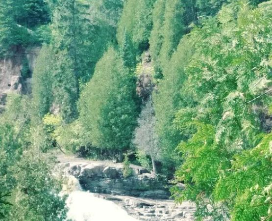 Gooseberry Falls State Park, Group Camp Site