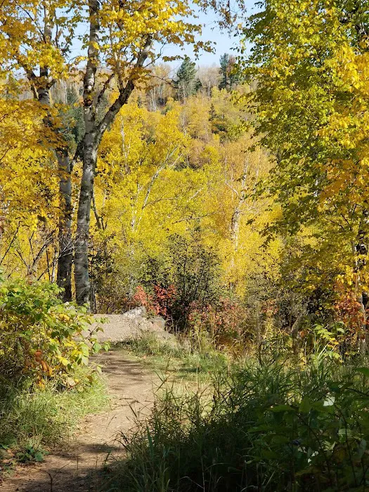 Gooseberry Falls State Park, Group Camp Site 6