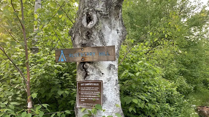 Blueberry Hill Campsite 3