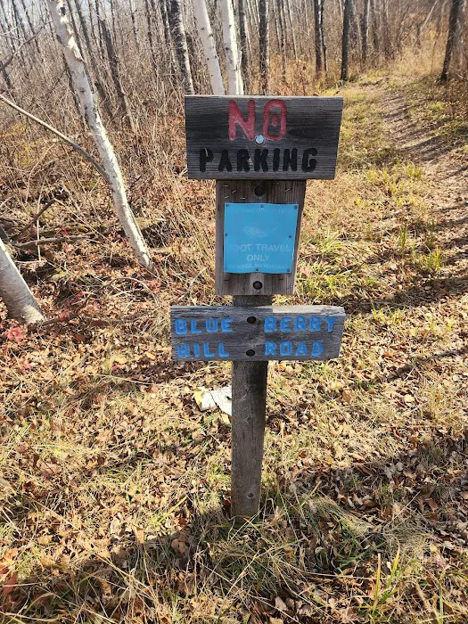 Blueberry Hill Campsite 8