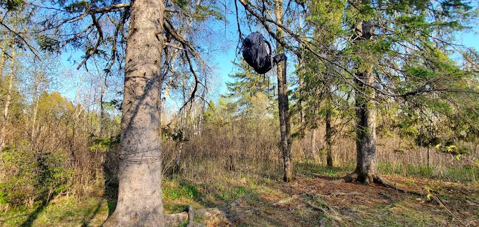 Blueberry Hill Campsite 9