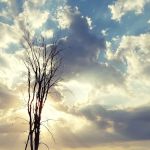 R & R Bar & Campground