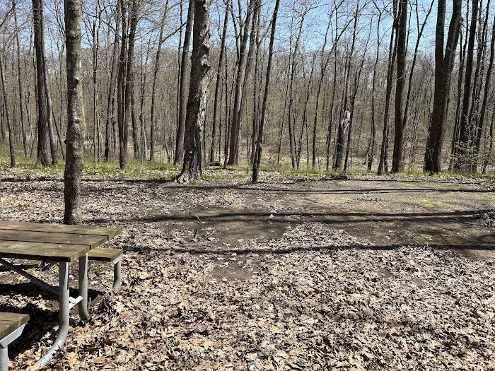 Washburn County Sawmill Park Campground 1