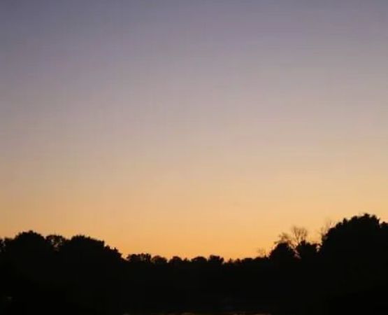 Pine Point Campground