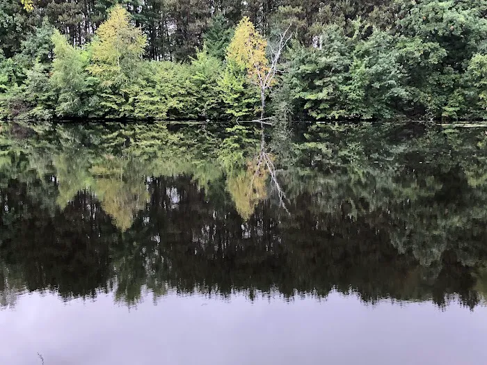 Pine Point Campground 7