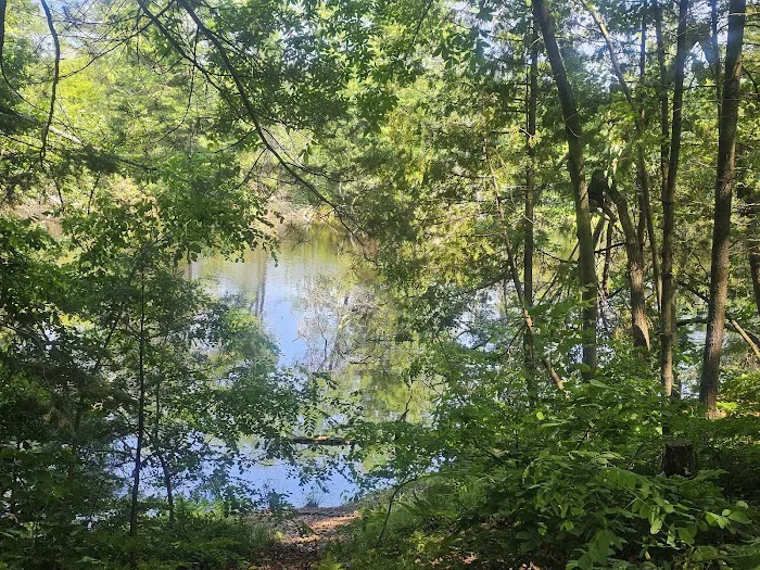 Pine Point Campground 6