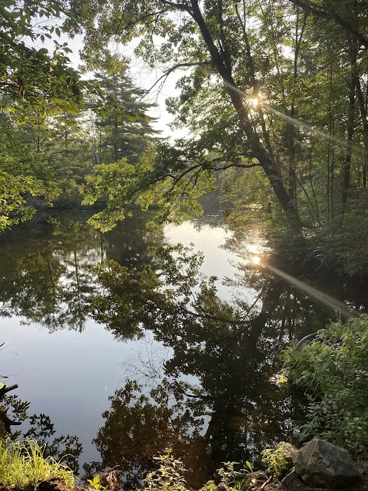 Pine Point Campground 8