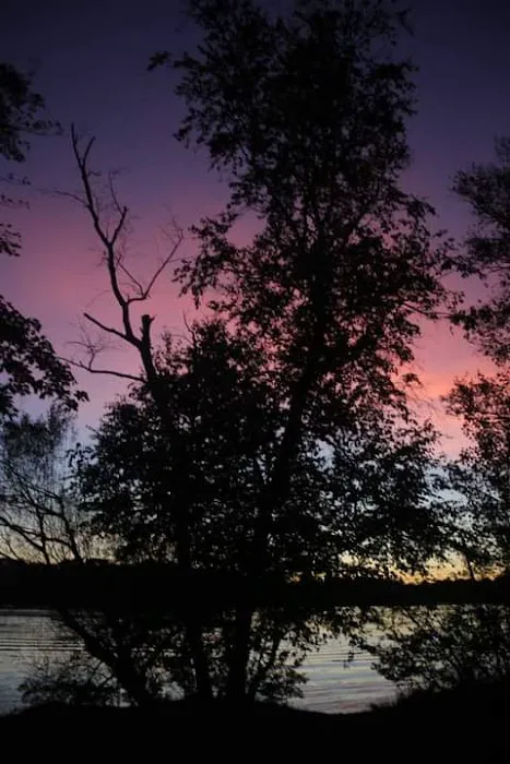 Pine Point Campground 1