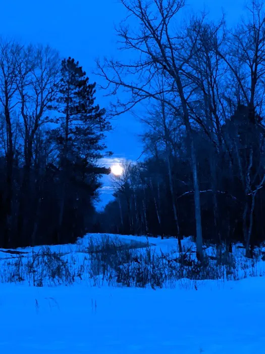Couderay River Campground 0